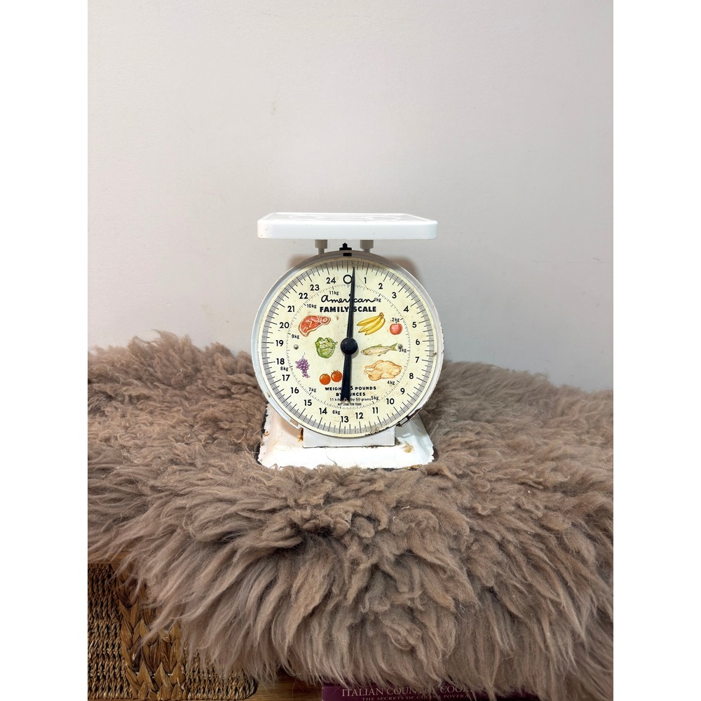 Vintage American Family Scale 25 lb White Kitchen Food Scale Retro Decor